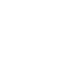 icons8-mission-100